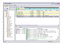 Net Transport 2.28 Build 348 (NT/2000/XP/2003/Vista x86)